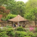 벳소캠프 이미지