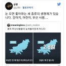 영도국민체육센터 이미지