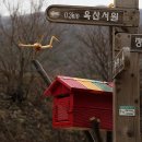 정혜사입구 이미지
