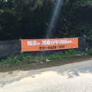 계룡산두꺼비 이미지
