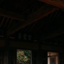 양군밧데리 | [대구 백일홍 맛집] 달성에 위치한 하목정에 꽃구경 다녀왔네요