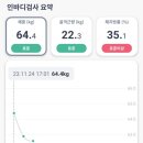 헬스 Boy | [다이어트] 제로 베이스로 시작한 무에타이, 탑팀 무에타이 성인반 후기 (+ 중간 보고)