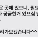 비비엔다 제주 이미지