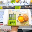 코끼리마트 이미지