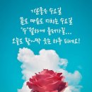 메리크리스마스(실버벨)- 세시봉,효린 이미지