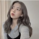 그레이엠 네이버블로그