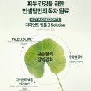 찬스인셀덤