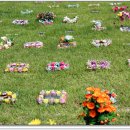 배산목장 이미지