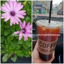 서울천일초등학교 이미지