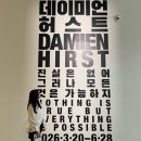 봉봉약국 | [공지] 국립현대미술관 서울 데미안 허스트 오픈런 예약 짐보관 후기