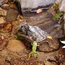 수월산방 이미지