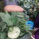 필립보농장 이미지