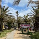 금능초등학교 이미지