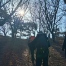 오형제 Daum카페
