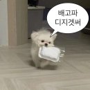 탐나종합어시장 서울대점 이미지