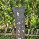 불암산 산림치유센터