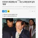 (허위학력 기재, 사전 선거운동) 무죄까지 예상했는데···부산 교육청 충격 넘어 ‘멘붕’ 이미지