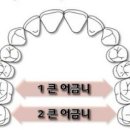 서울온가족치과 - 세종특별자치시 한누리대로 1844 | 서울온가족치과