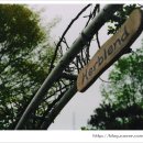 하니온 허브 이미지