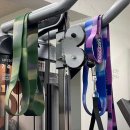 에스피티 이미지