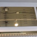 윤스강아지 이미지