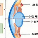 안경매니져전주여의점 이미지