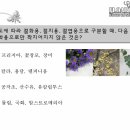 플로아트