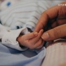 쉬즈산후조리원 네이버블로그