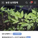 황제농장2 이미지