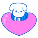 울알라애견미용 이미지