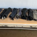 울산EDA승마장 이미지