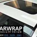 와이카스킨