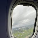 제주애단비 마주 이미지