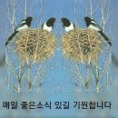 예쁜날 이미지