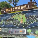 용마루2공원 주차장 이미지