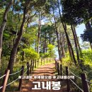 대청초 정문 옆 학교숲길 | 제주 애월 오르기 쉬운 고내봉 산책