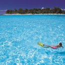 (주)태평양여행 이미지