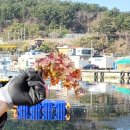 골장항 | 영덕,울진,삼척 루어낚시 후기(병곡방파제,죽변항,골장항,임원항 그리고 갈남방파제 루어낚시/영덕...