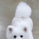 대교빌딩 이미지