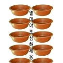 서면보건지소 | 내가, 졌다.!