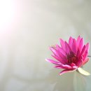 모아내과의원 이미지