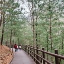 푸른농원연잎밥 이미지