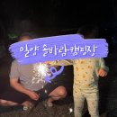 솔바람캠핑장 - 서천군 장항산단로34번길 48-44 | [밀양 솔바람캠핑장] 사장님 인심에 반하고 온, 그늘 좋고 아이 놀기 좋은 키즈캠핑장 후기🌱