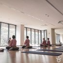 힐리언스 이미지