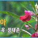 수목원 이미지