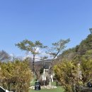 pet109더9730 | 경기 양평 | 뷰맛집 넓은 야외 자리가 있는 애견동반 카페, 문릿