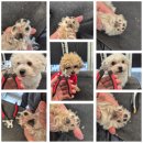 워니시티 이미지