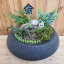 미니정원 이미지