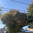 수인선 세류공원 이미지