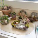 다육이 아트(A) | <취미/도우아트> 감성 돌멩이 아트를 아시나요? 도우아트 지도사 자격증 취득과정 (후기+궁금했던 사항...